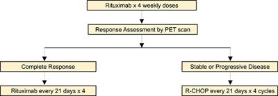 Epstein Barr Virus Associated B-Cell Lymphomas and Iatrogenic Lymphoproliferative Disorders